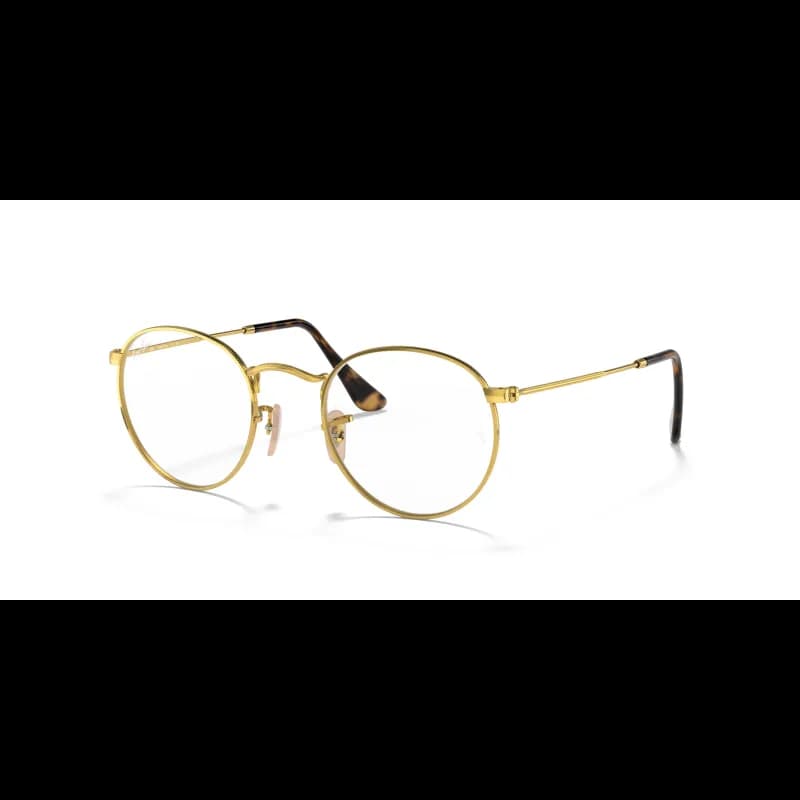 Ray-Ban ROUND METAL RX3447V Ray-Ban ROUND METAL RX3447V